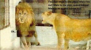 T'es nul, tu me plais